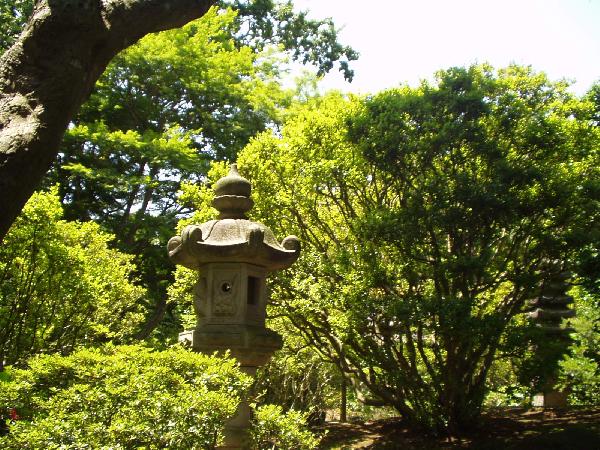 Kasugagata" Japanese Lantern