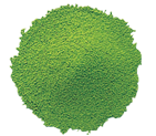 Matcha - Japanese Green Tea