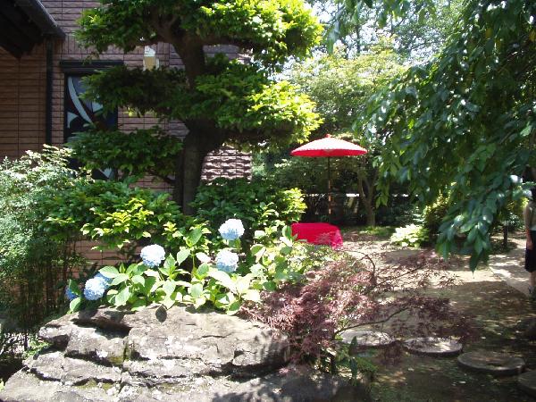 Tea Ceremony Umbrella