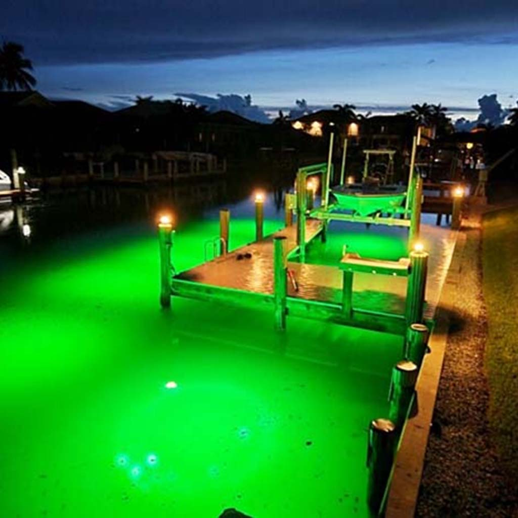 night fishing pier lights