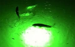 Underwater Green Fishing Light