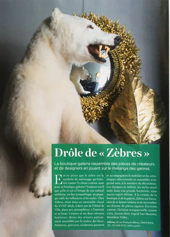 Publication Le Journal de la maison ZEBRES