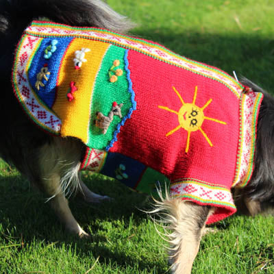 Size 5 Hand Embroidered Peruvian Dog Jumper Red Yellow Blue and Green 27cm