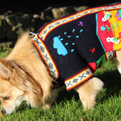 Size 3 Hand Embroidered Peruvian Dog Jumper Midnight Blue Red Yellow and Green 26cm - My Chi and Me