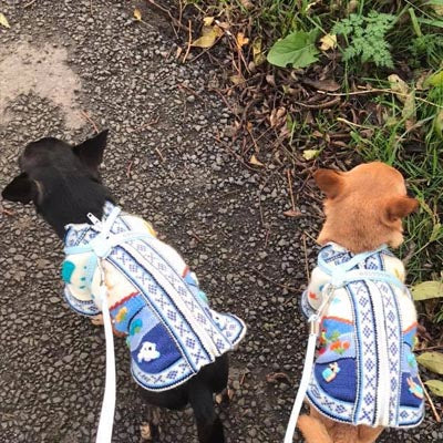 Size 2 Hand Embroidered Peruvian Dog Jumper Mid Blue and White 24cm