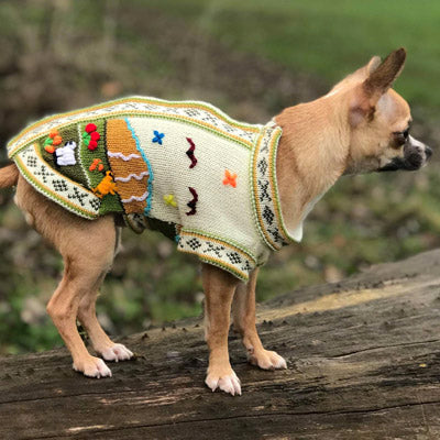 NEW Size 5 Hand Embroidered Peruvian Dog Jumper Cream and Green 30cm Chihuahua Clothes and Accessories at My Chi and Me