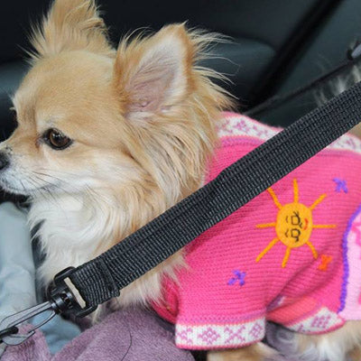 Size 2 Hand Embroidered Peruvian Dog Jumper Rhubarb Pink 25cm Chihuahua Clothes and Accessories at My Chi and Me