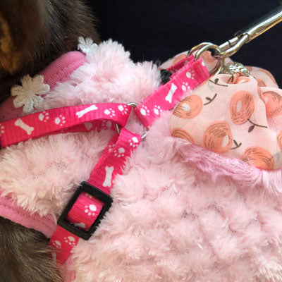 Chihuahua Puppy or Small Chihuahua Harness and Lead Set Paws & Bones Purple Light Weight Webbing Chihuahua Clothes and Accessories at My Chi and Me