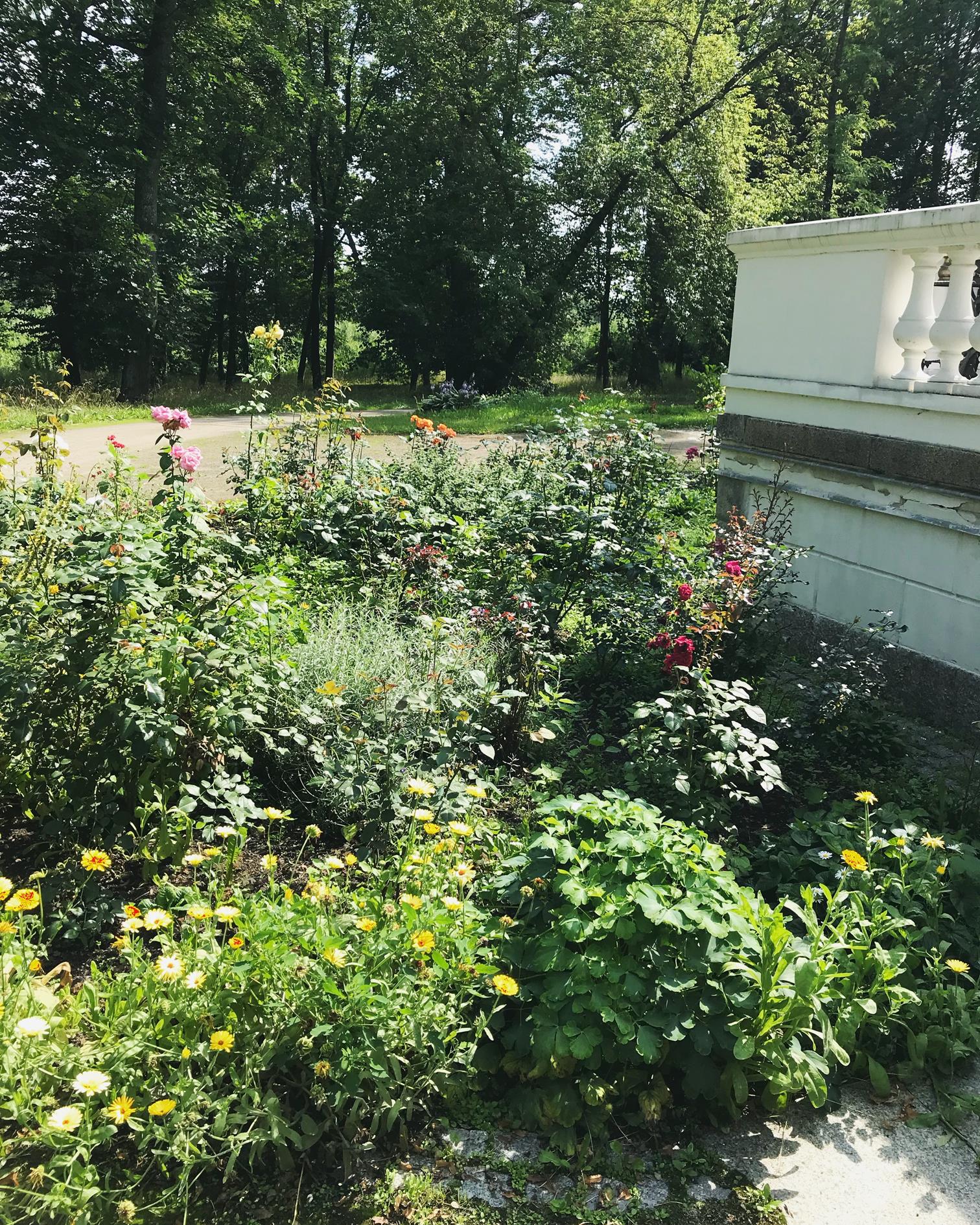 summer in the country side with zurbano shoes 