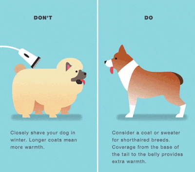 do's-and-don'ts