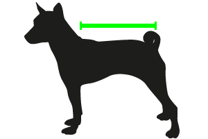 Dog-sizing-length