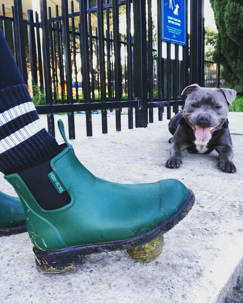 dog waiting to play with a ball, the ball is trapped under his a merry people alpine green boot