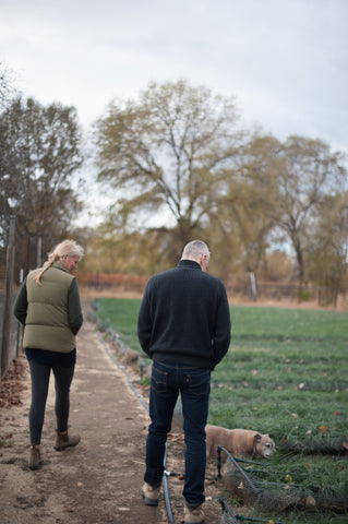 walking at the saffron field