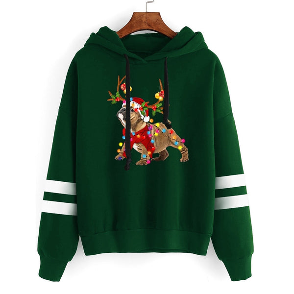 green sweater doggy