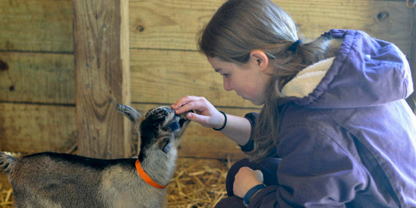 goat to goat milk soap