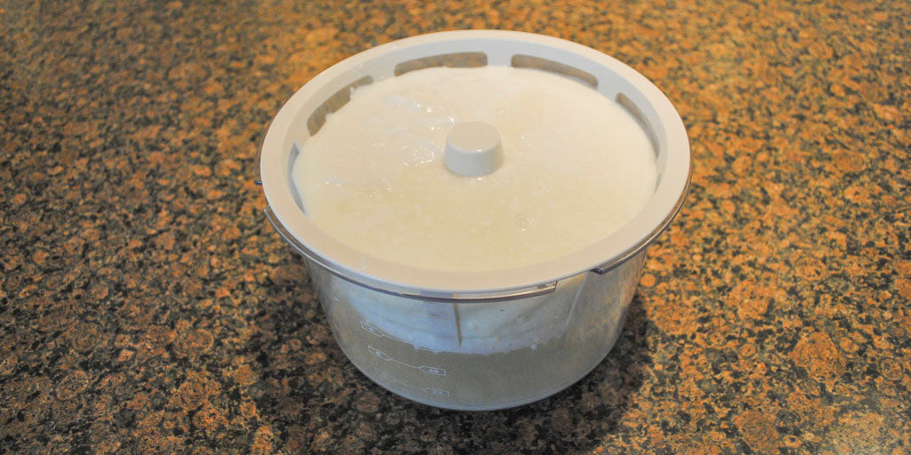 goat milk yogurt