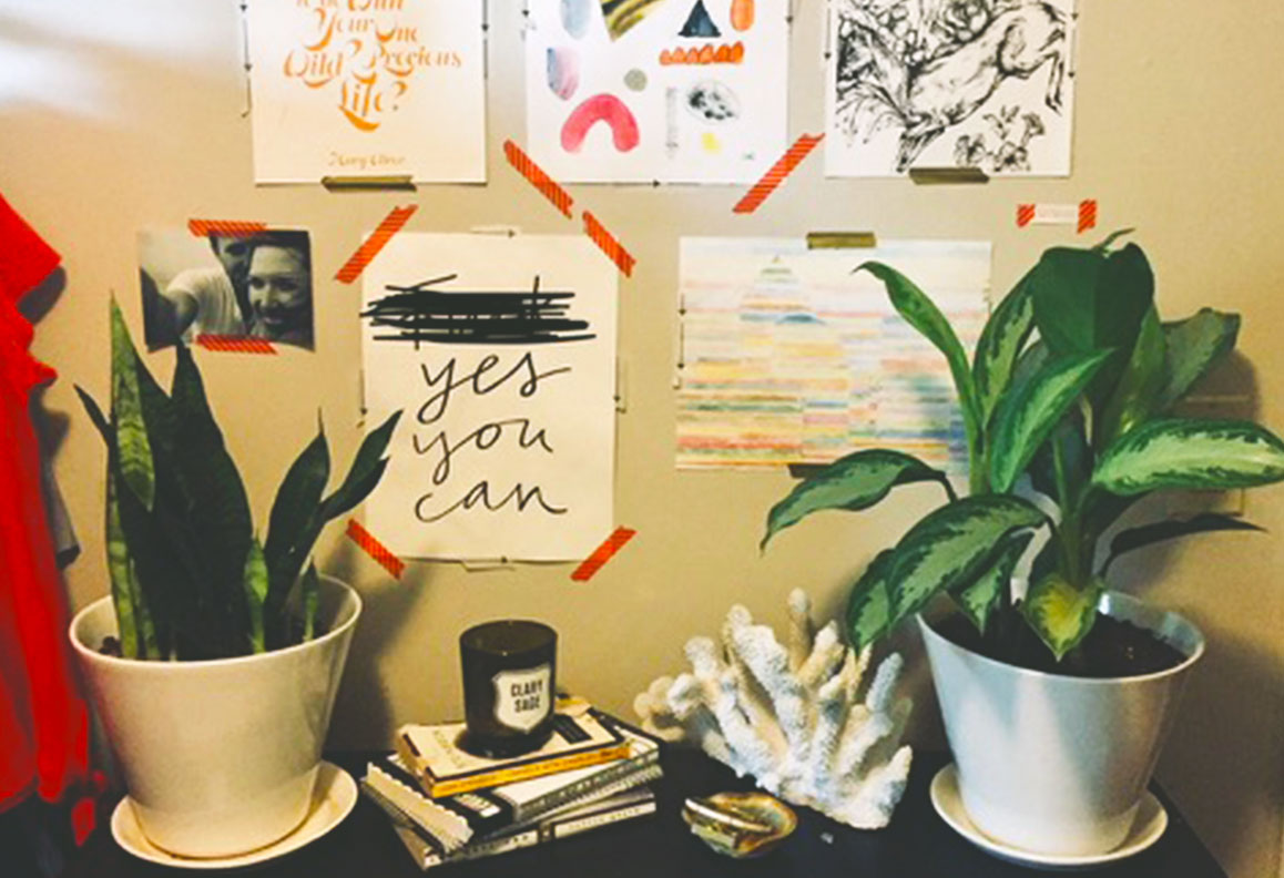 Potted plants sitting on a dresser