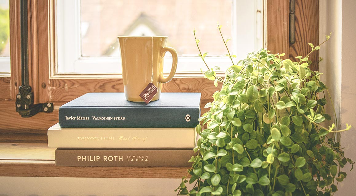 indoor house plant placed in window sill next to books and mug