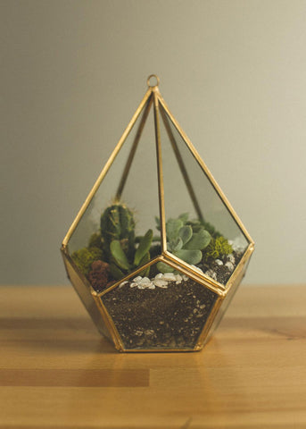 art terrarium gift