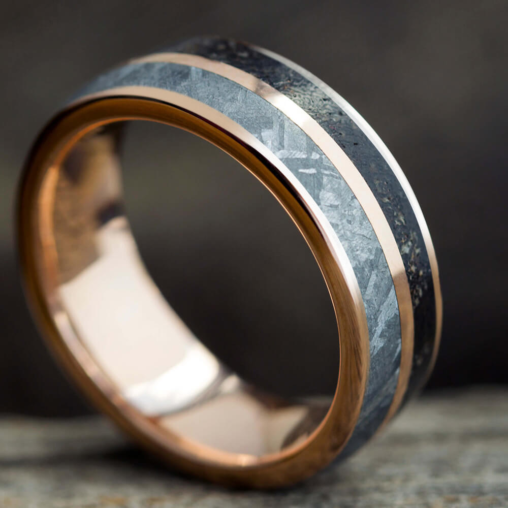 Meteorite and Dinosaur Bone Ring