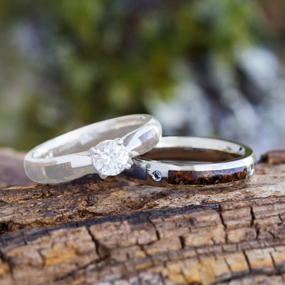 Authentic Meteorite and Dinosaur Bone Wedding Bands