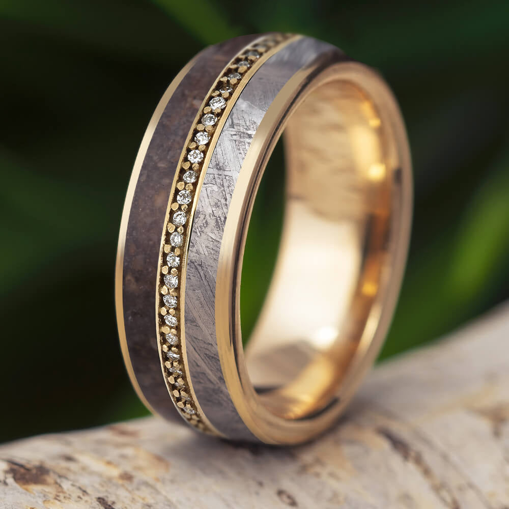 Amazing Eternity Band with Meteorite & Dinosaur Bone