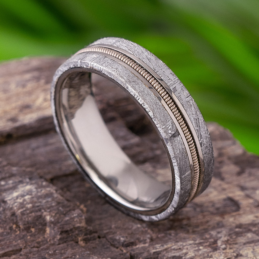 Guitar String Wedding Band in Gibeon Meteorite-4464 - Jewelry by Johan