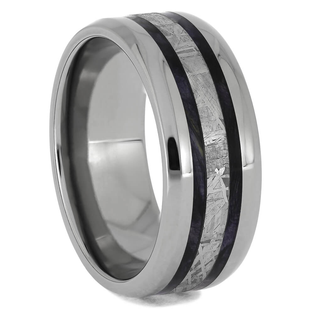 Meteorite and Titanium Rings