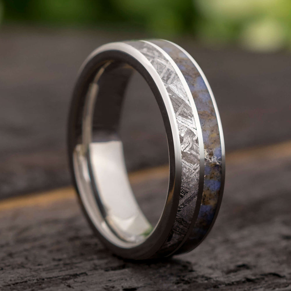 Meteorite & Dinosaur Fossil Men's Titanium Ring, In Stock-SIG3011 - Jewelry by Johan