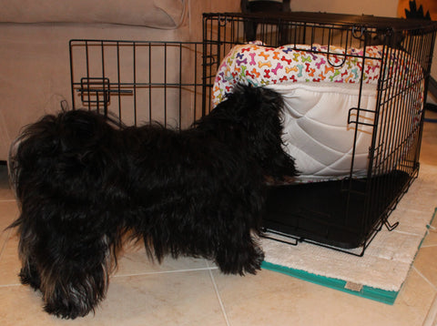 Rectangle dog bed cover with dog bones