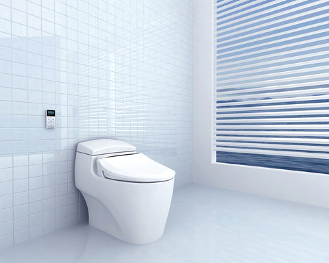 Bio Bidet Uspa 6800 installed