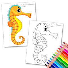 Seahorse Coloring Page