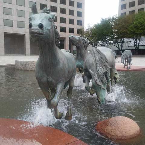 Mustangs of Las Colinas