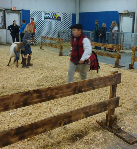 Lead Line Event at Wisconsin Sheep and Wool Festival 2018