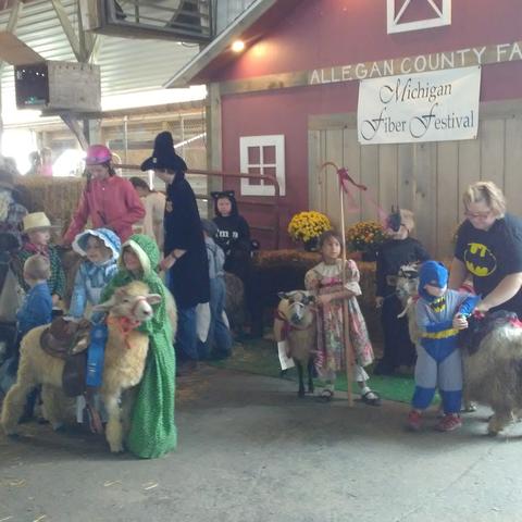 Costumes at Michigan Fiber Festival