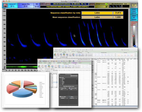 Bat Acoustic Analysis Service