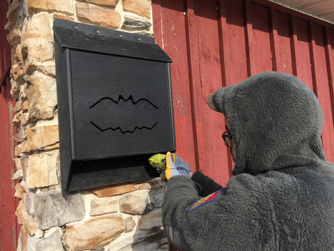 Installing a bat house on stonework