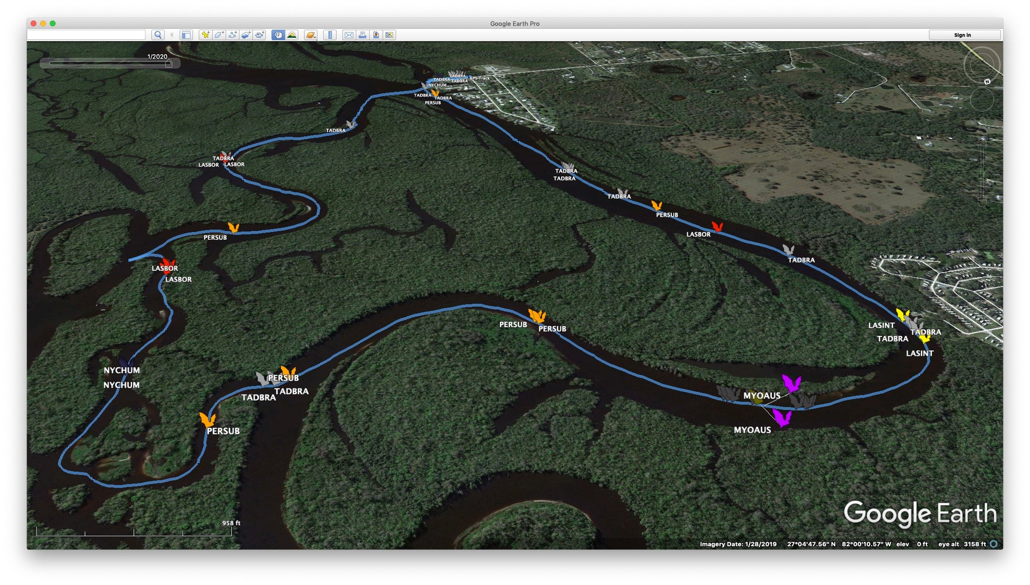 Navigator Transect