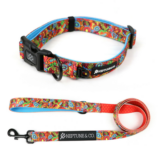 collar leash