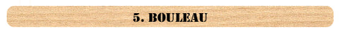 Bouleau birch