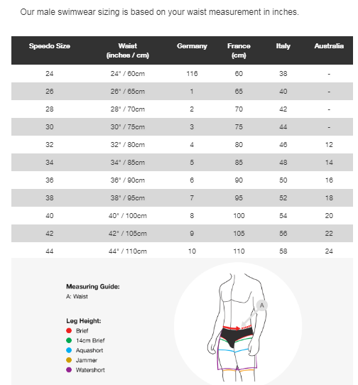 Speedo Mens Measurement