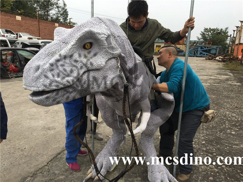 Cowboy Riding Dinosaur Rider Costume making process- how to wear