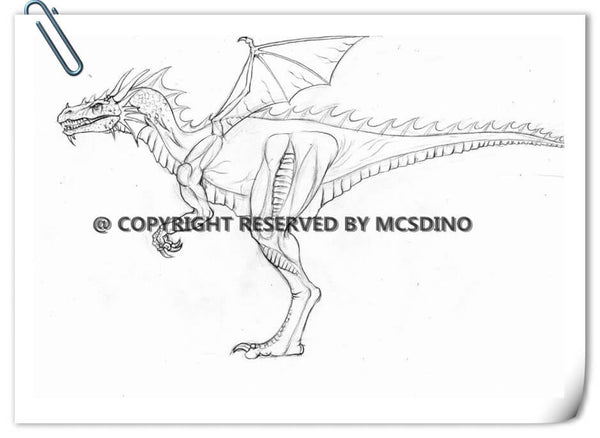 dragon sketch