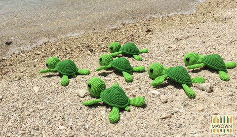 mayown turtles