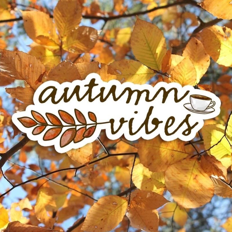 🍂 Autumn Vibes Sticker 🍂
