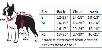 Pet Sizes and Size Charts