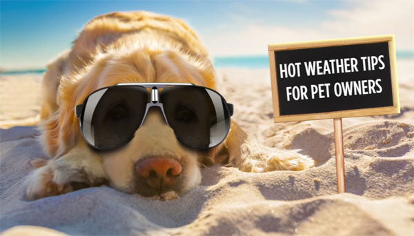 Hot Weather Tips For Pet Owners.