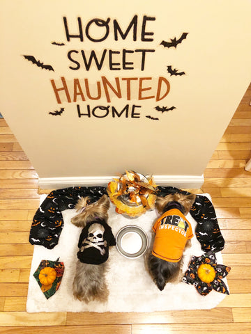 Halloween Decor for dogs Smalldog Official