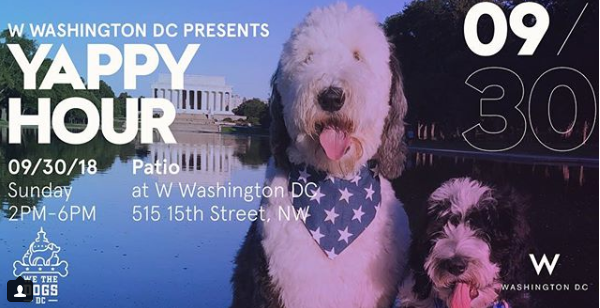 We The Dogs DC Meet Up Dog Events in DC