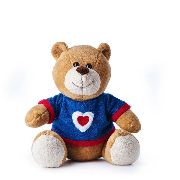 teddy bear with blue shirt